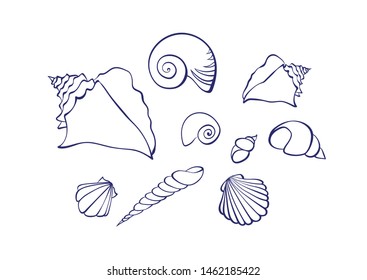 Vector outline cartoon seashell set. Graphic marine illustration isolated on white background for coloring book.
