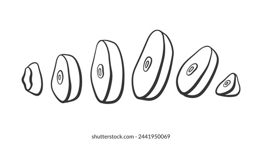 Vector outline chopped garlic. Cut garlic cloves illustration. Condiment and spicy ingredient for cooking.