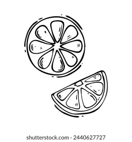 Vector outline of citrus fruit slices in doodle style. Sliced pieces of tangerine, orange, lime, grapefruit lemon.