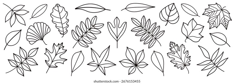 Coleção de contornos vetoriais de folhas de outono em diferentes formas, desenhos simples de linhas pretas. Folhas de queda definido para scrapbooking, volta, cartão, padrão, têxtil, artesanato, embalagem, imprimível, design infantil.