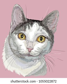 Vector outline colorful portrait of curious mongrel cat in black, white and grey colors. Hand drawing illustration isolated on pink background