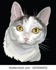 Vector outline colorful portrait of curious mongrel cat in black, white and grey colors. Illustration isolated on black background