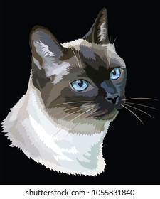Vector outline colorful portrait of curious Thai Cat in black, white, brown and grey colors. Illustration isolated on black background