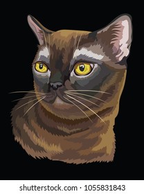 Vector outline colorful portrait of curious Burmese Cat in black and  brown colors. Illustration isolated on black background