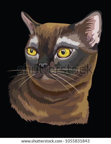 Vector outline colorful portrait of curious Burmese Cat in black and  brown colors. Illustration isolated on black background