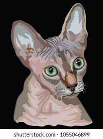 Vector outline colorful portrait of hairless curious Sphynx Cat in pink and grey colors. Illustration isolated on black background