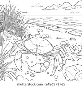 Vector outline of a crab on a beach, colouring page design. 