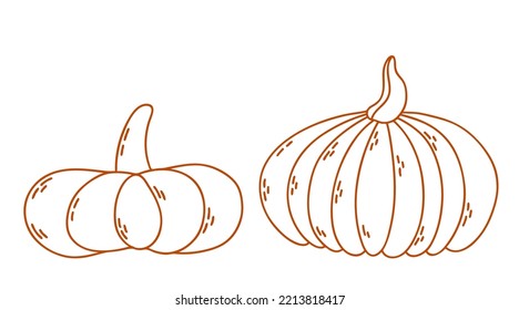 Vector outline cute pumpkinы. Autumn vegetable. Funny veggie harvest line illustration.