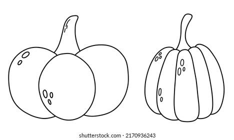 Vector outline cute black and white two pumpkins for colouring page. Autumn vegetable. Funny veggie harvest line illustration.