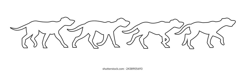 vector outline dogs walk run. isolated white background
