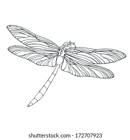 Vector Outline Dragonfly Illustration Isolated On White