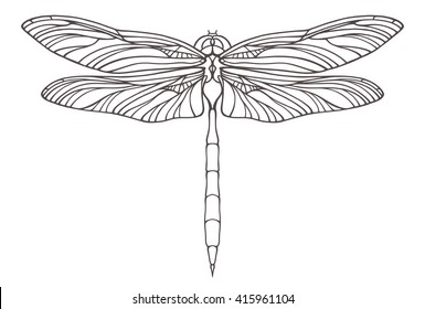 Vector Outline Dragonfly Illustration Isolated On White. Vector Illustration