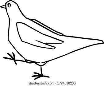 dibujo del contorno vectorial de un pájaro de una paloma sobre un fondo transparente azotado a la izquierda