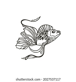 Vector outline drawing of a fish. Line art, doodle, decorative fish tattoo, aquarium fish. Black and white drawing isolated on white background.