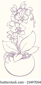 Vector outline drawing. Flowering branch of orchid, growing from a round vase