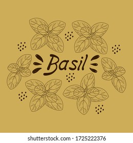 Vector outline drawing of handmade basil sprigs on a colors background. Basil line, sketch. Registration of cards, menus, banners, printing on fabric, covers
