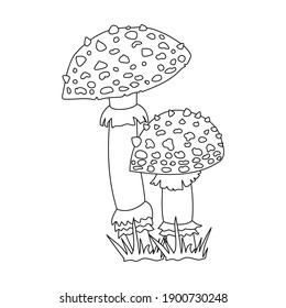 Vector outline drawing of a handmade mushroom on a white isolated background. Forest mushroom line, skate. Design of postcards, menus, banners, printing on fabrics, covers.
