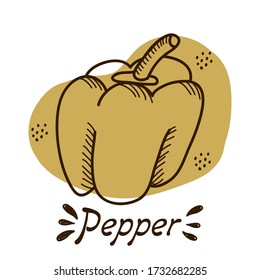 Vector outline drawing of handmade pepper on a white isolated background. Pepper line, sketch. Registration of cards, menus, banners, printing on fabric, covers