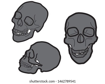 vector outline drawing isolated skull on 3 side.