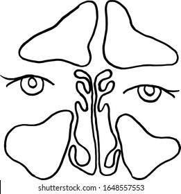 vector outline drawing of maxillary sinus (nose) suffering from coronavirus or covid-19 virus. Medical design template