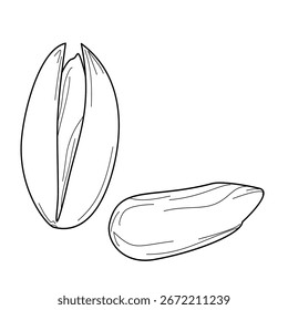 Dibujo de contorno de Vector de pistachos en cáscara y núcleo. Ilustración minimalista de alimentos dibujados a mano para diseño y embalaje