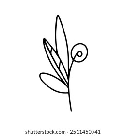 Vector. Dibujo de contorno de una planta. Rama decorativa con hojas y bayas. Ilustración de Doodle. Elemento de diseño para el logotipo, tarjetas, invitaciones, menús, embalaje, carteles