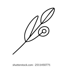 Vector. Outline drawing of a plant. Decorative branch with leaves. Doodle illustration. Design element for logo, cards, invitations, menus, packaging, posters