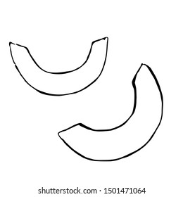 Vector outline drawing of pumpkin pieces. Hand drawn sketch of garden vegetable. Doodle illustration of seasonal autumn crop harvesting. Isolated contour image