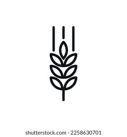 Vector Outline Farm Wheat Ears Icon. Whole Grain Line Symbol Illustration for Organic Eco Business, Farming, Beer, Bakery. Gluten Free Logo.