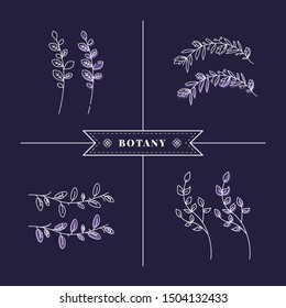 Vector outline Feminine Delicate Logo. Rustic Logo Template for photographer, fashion blogger, design studio, interior design. Branding identity collection. Floral feminine logo