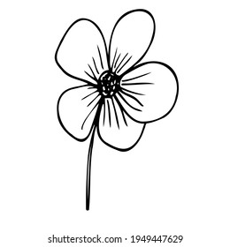 Vector outline, flower and leaves in black isolated on white background.