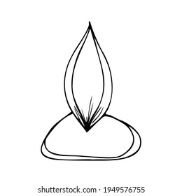 Vector outline, flower and leaves in black isolated on white background. Flora for postcards.