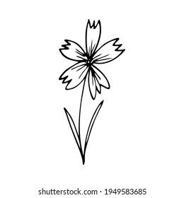 Esquema vectorial, flor y hojas en negro aisladas en fondo blanco. Flora para postales.