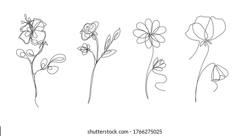 vector outline flowers set, single line illustration, floral sketch