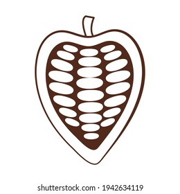 Vector outline hand drawn cocoa bean. Healthy food illustration in retro style. Chocolate food. Cocoa icon for brochures, banner, restaurant menu and market