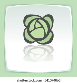 Vector outline head of cabbage vegetable food icon on white flat square plate. Elements for mobile concepts and web apps. Modern infographic logo and pictogram.