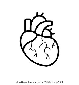 Vector outline of human heart