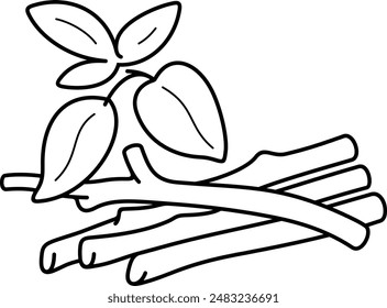 Vector outline icon of the medicinal herb Ashwagandha roots with leaves. It is commonly used for anti stress.