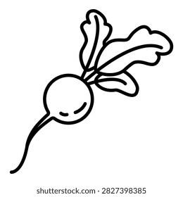 Vector Outline Icon of Radish Vegetable