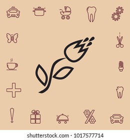 Vector outline icon tulip