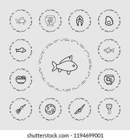 Vector  outline icons such as aquarium, food, extinct sea creature. editable fish icons for web and mobile.