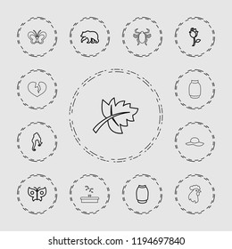 Vector  outline icons such as bear, woman hairstyle, skirt, rose, butterfly, leaf, rooster. editable beautiful icons for web and mobile.
