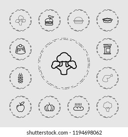 Vector  outline icons such as wheat, burger with sausage, pie, protein powder, apple, pumpkin. editable nutrition icons for web and mobile.