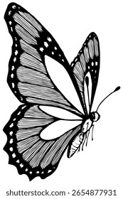 Ilustración de contorno de Vector de mariposa aislada sobre fondo blanco.