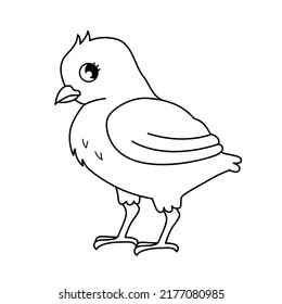 Vector outline illustration of cartoon cute chick isolated on white background. Coloring book for children.
