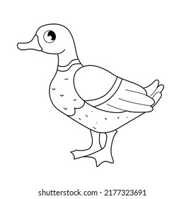 Vector outline illustration of cartoon cute duck isolated on white background. 