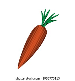 A Vector outline illustration of a colored orange and green fresh carrot is on a white background