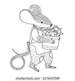 Vector outline illustration for coloring book. A mouse in jacket and apron holds the bucket with bouquet of rose flowers.