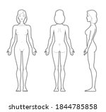 Vector outline illustration of female body. Front, rear, and side views.