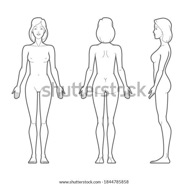 Vector outline illustration of female body. Front,\
rear, and side views.